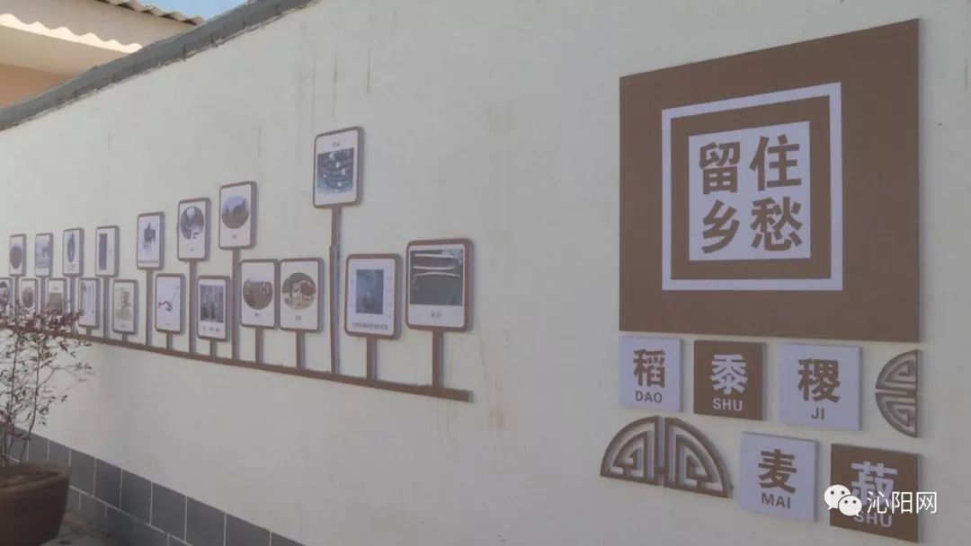 乡镇美丽乡村示范点建设,多点发力打造美丽乡村