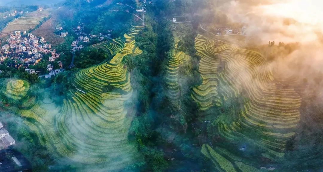 老家乡在梅州,老家梅州周边城市