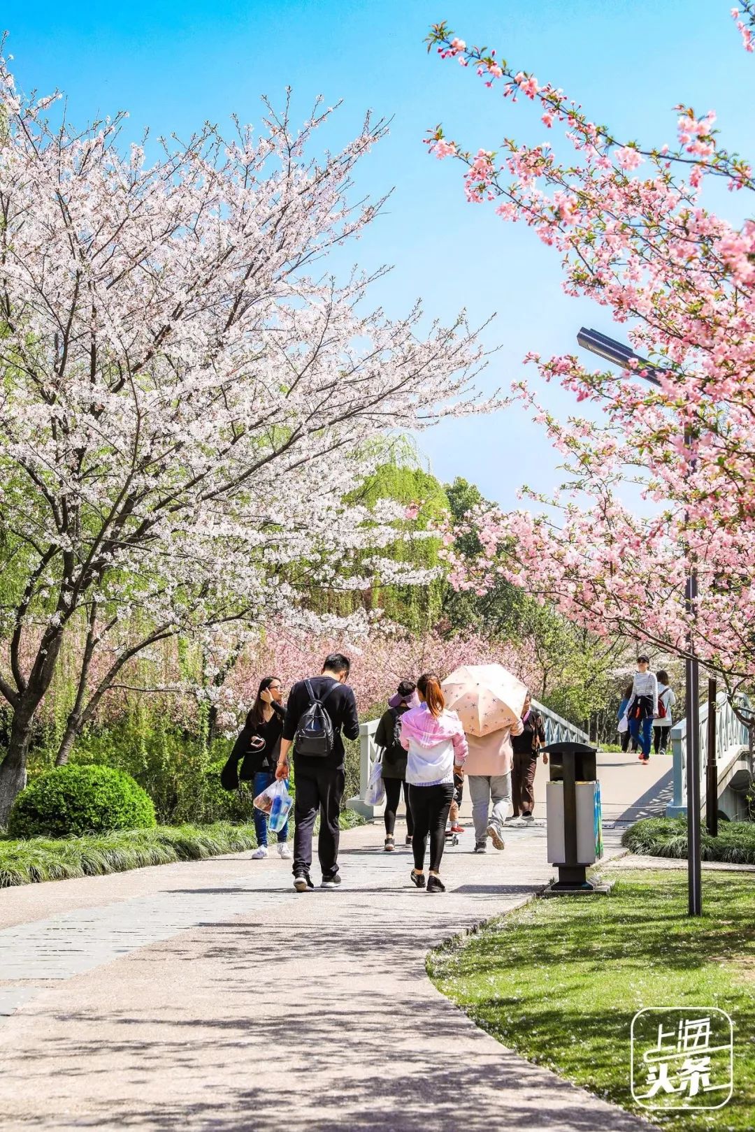 吵翻了!魔都16区终于正面PK!哪个是你心中的C位担当?