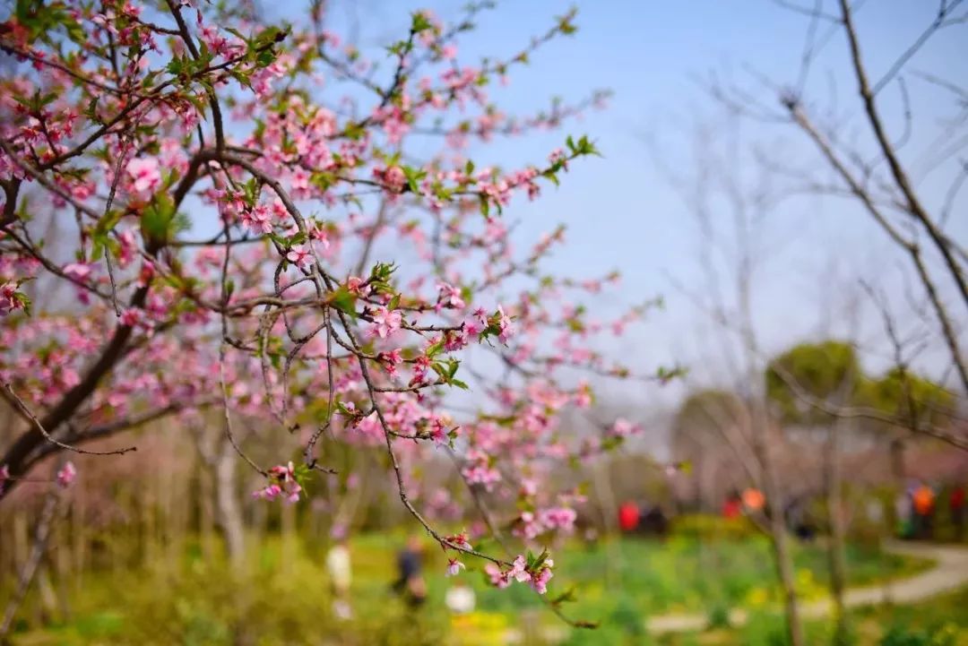 吵翻了!魔都16区终于正面PK!哪个是你心中的C位担当?