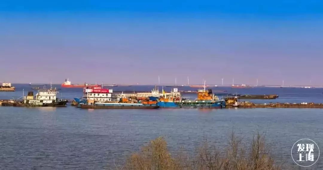 吵翻了!魔都16区终于正面PK!哪个是你心中的C位担当?