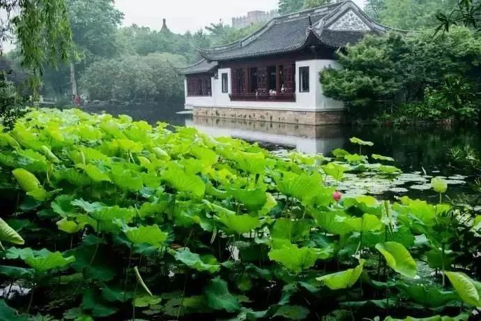 吵翻了!魔都16区终于正面PK!哪个是你心中的C位担当?