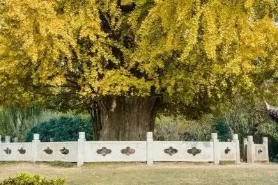 吵翻了!魔都16区终于正面PK!哪个是你心中的C位担当?