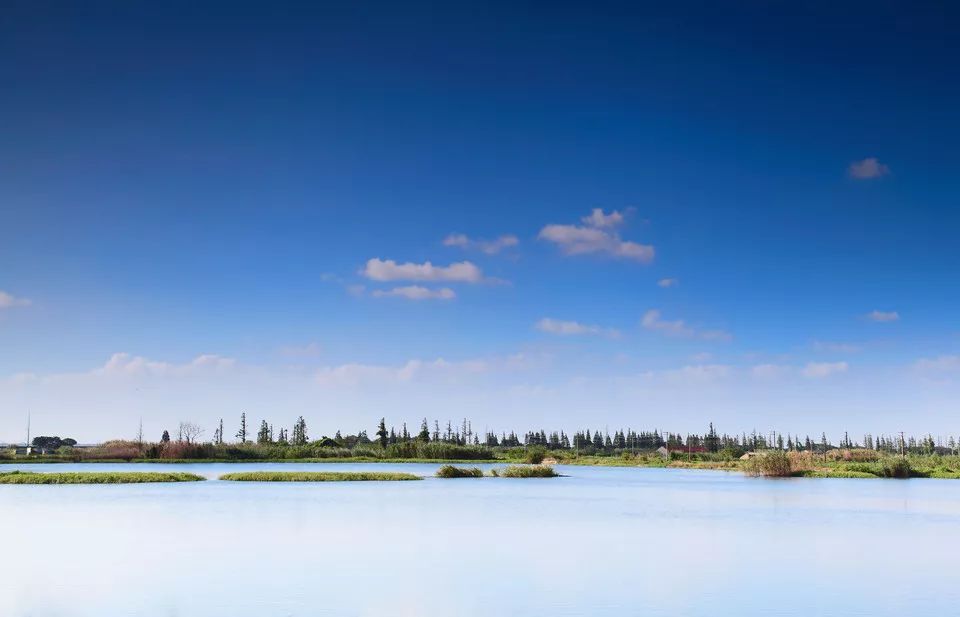 吵翻了!魔都16区终于正面PK!哪个是你心中的C位担当?