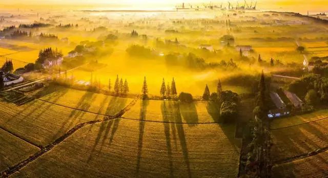 吵翻了!魔都16区终于正面PK!哪个是你心中的C位担当?