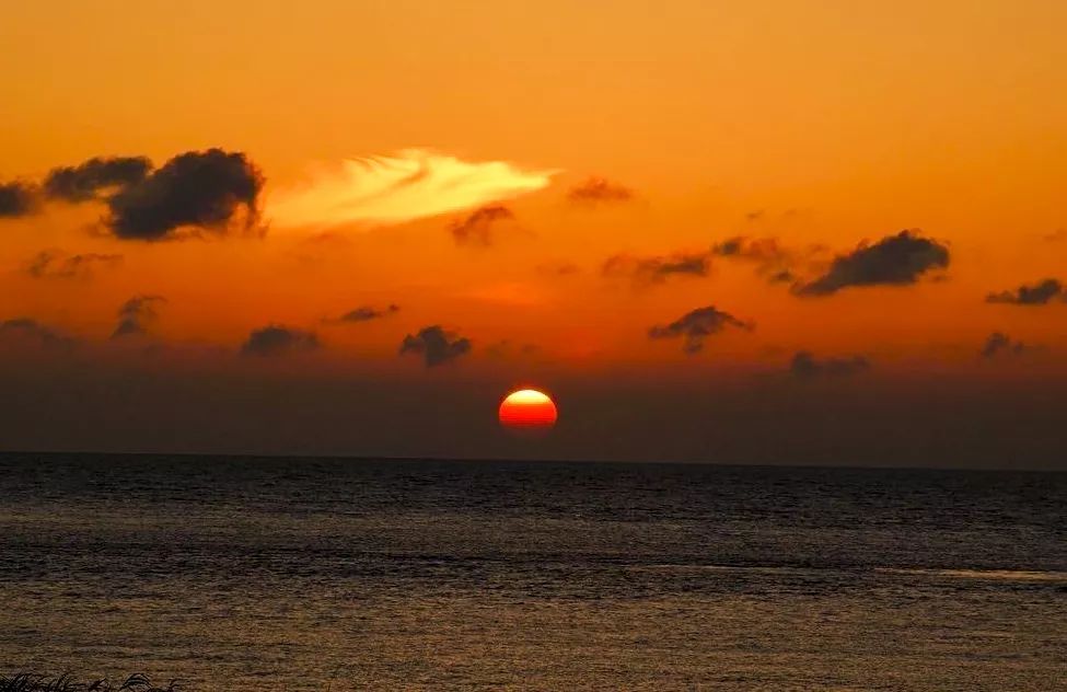 吵翻了!魔都16区终于正面PK!哪个是你心中的C位担当?