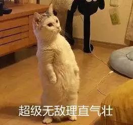 吸毒检测一般多久出结果,检测吸毒尿液几道杠是阴性