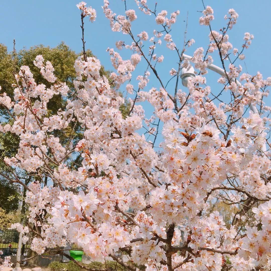 海量美图100张,海量高清美图