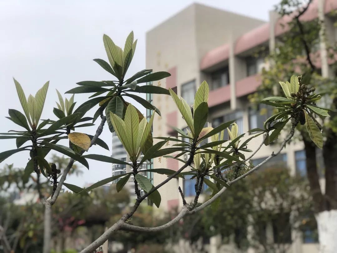 海量美图100张,海量高清美图