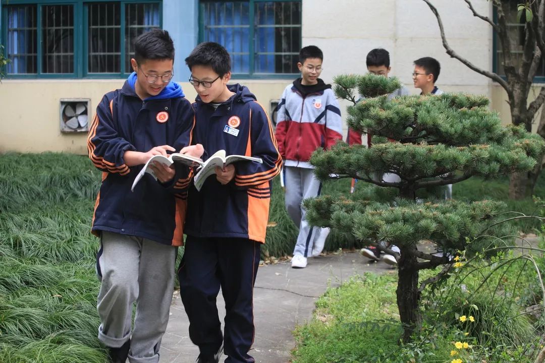 海量美图100张,海量高清美图