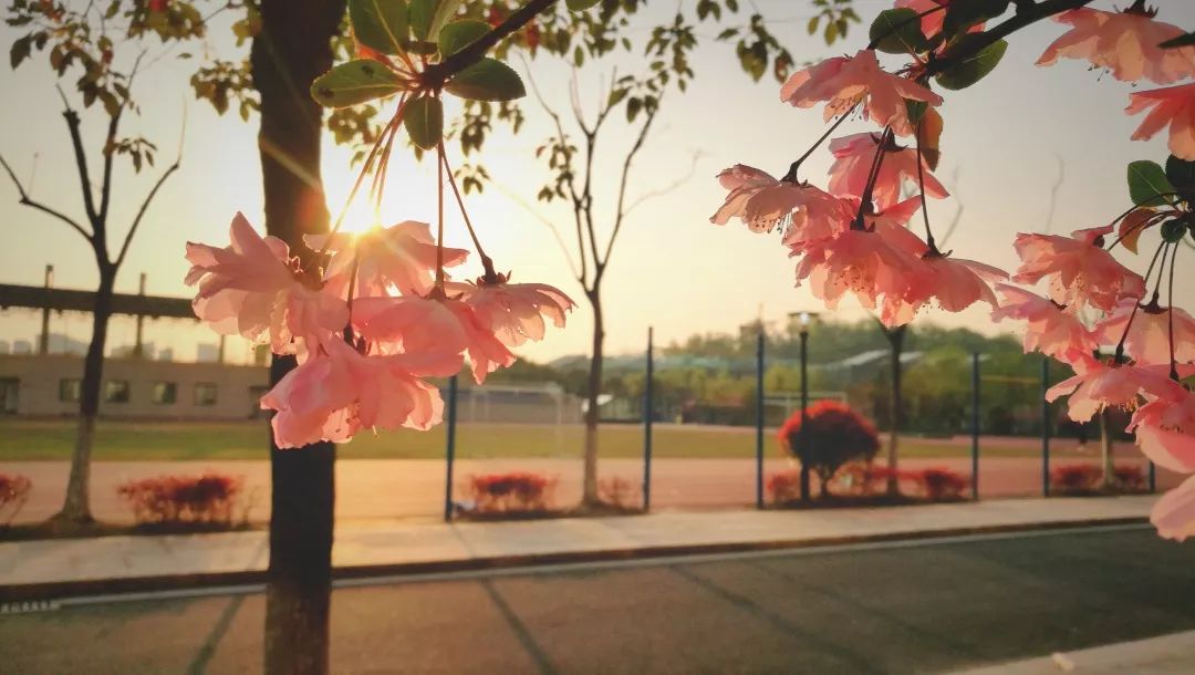 海量美图100张,海量高清美图