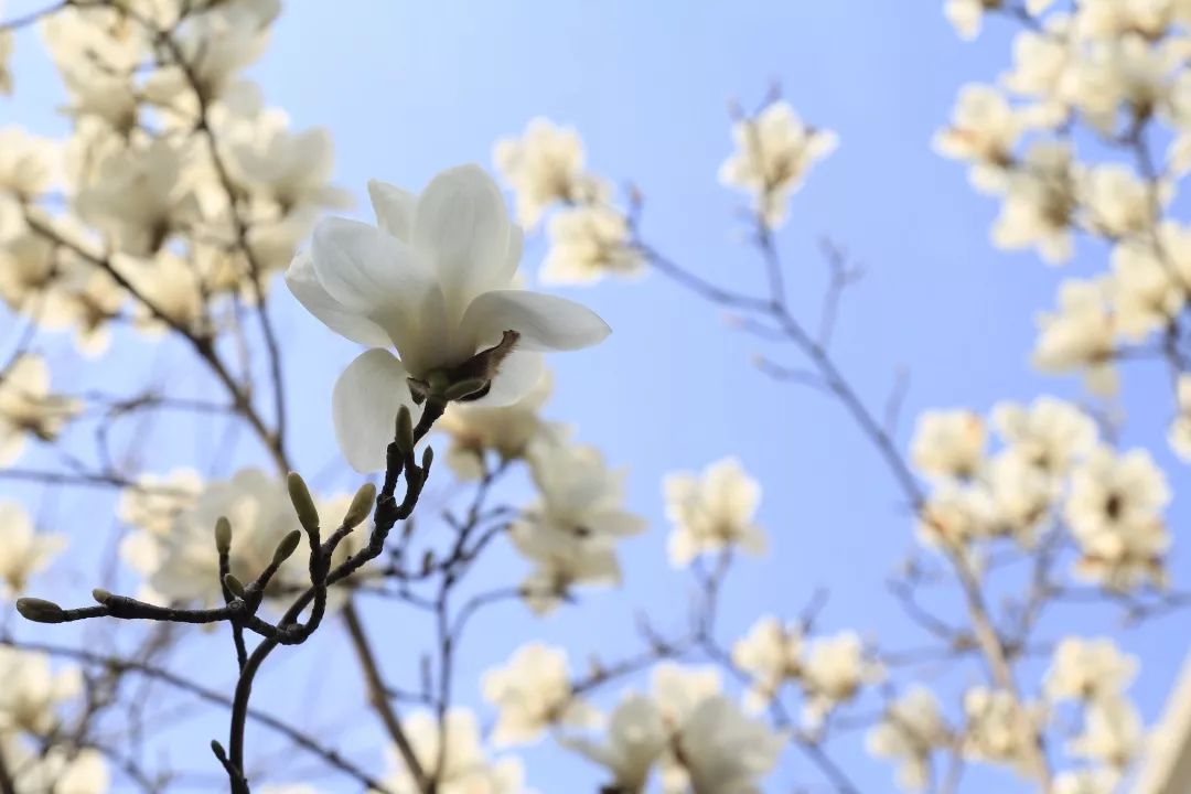 海量美图100张,海量高清美图