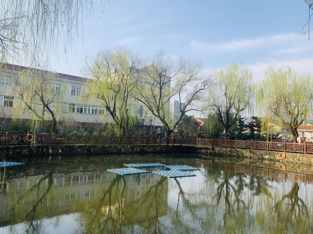 海量美图100张,海量高清美图