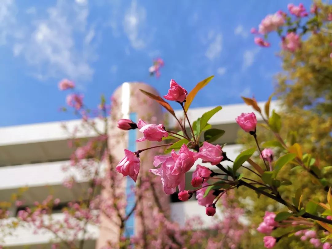 海量美图100张,海量高清美图