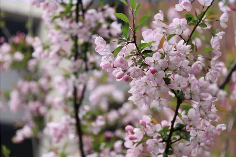 海量美图100张,海量高清美图