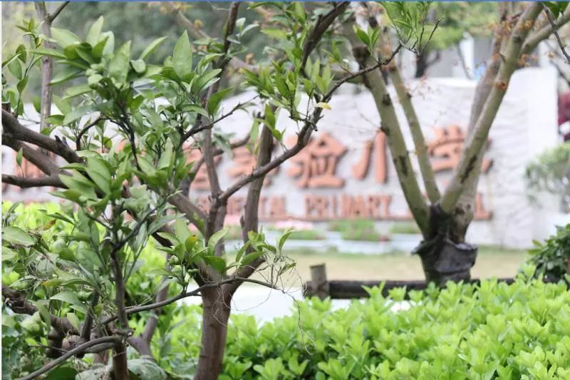 海量美图100张,海量高清美图