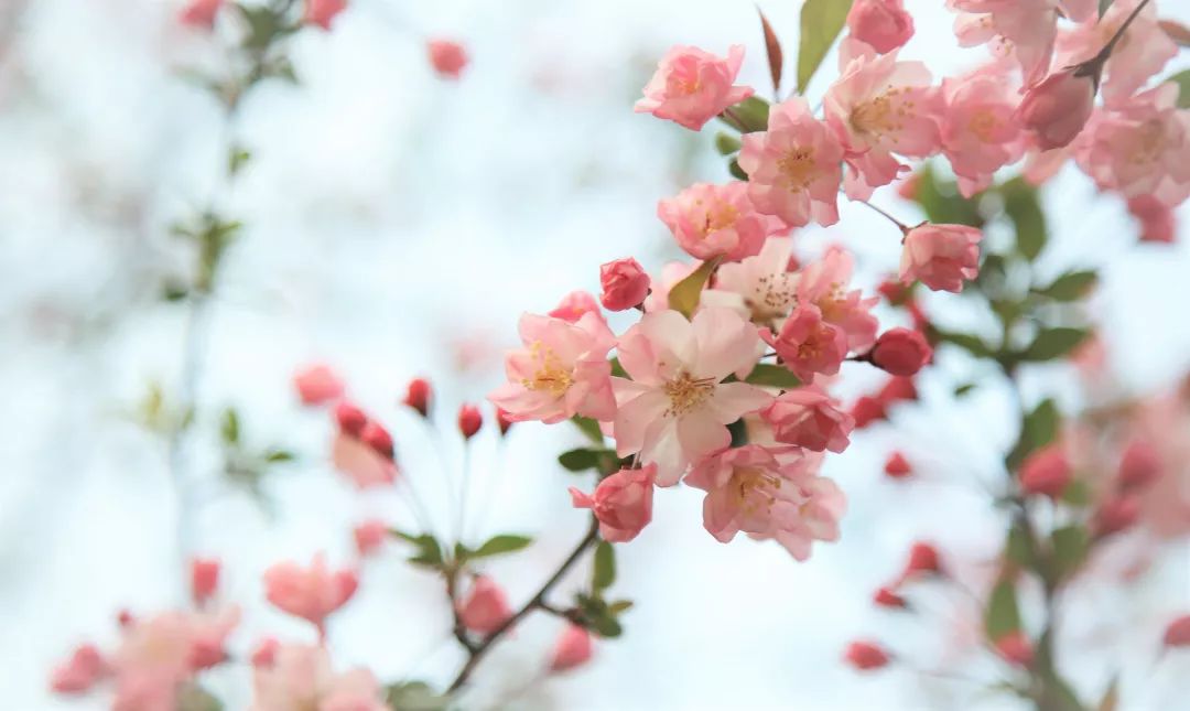 海量美图100张,海量高清美图