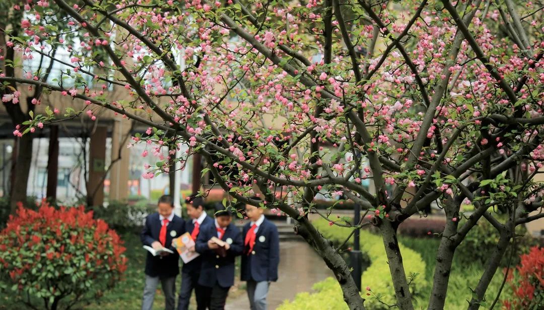 海量美图100张,海量高清美图