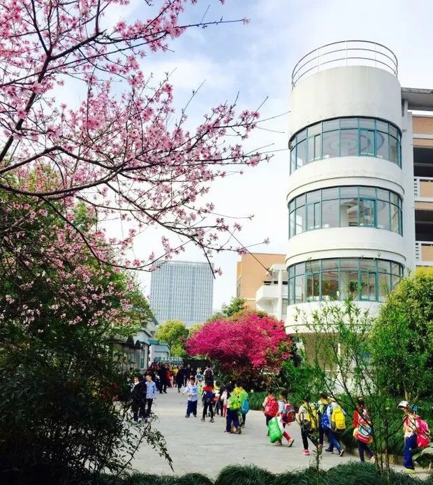 海量美图100张,海量高清美图