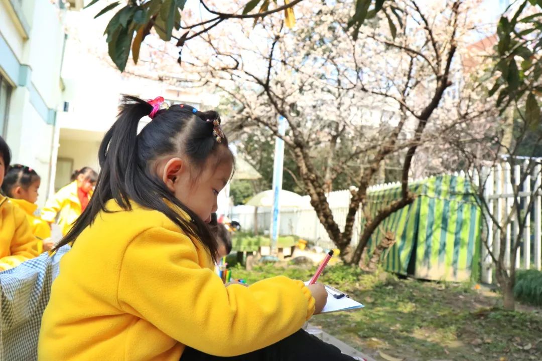 海量美图100张,海量高清美图