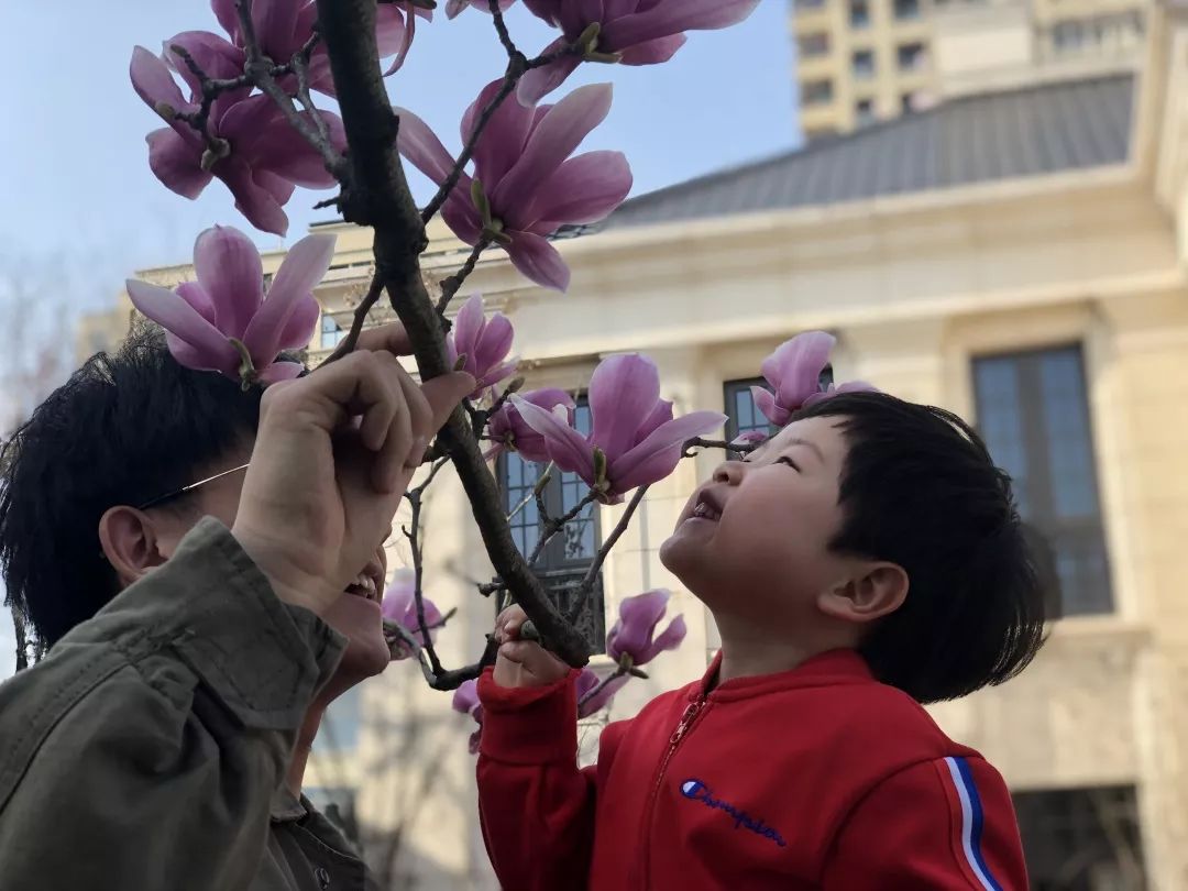 海量美图100张,海量高清美图