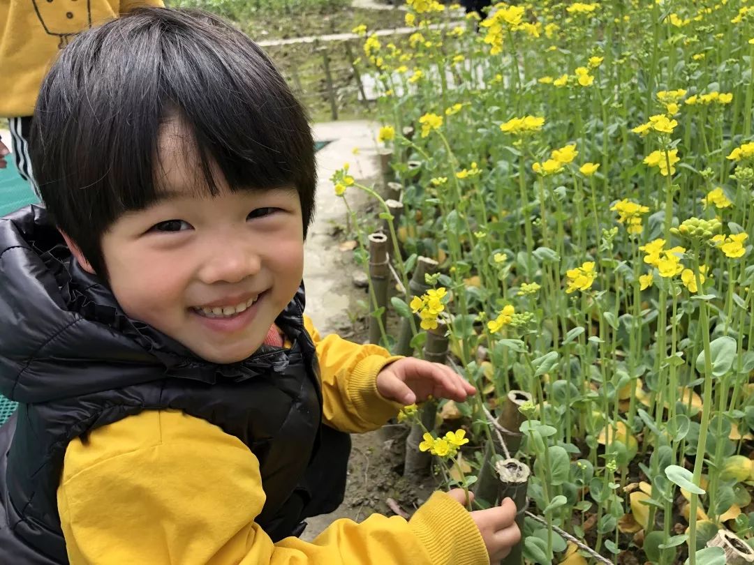 海量美图100张,海量高清美图