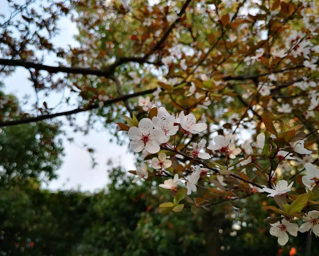 海量美图100张,海量高清美图