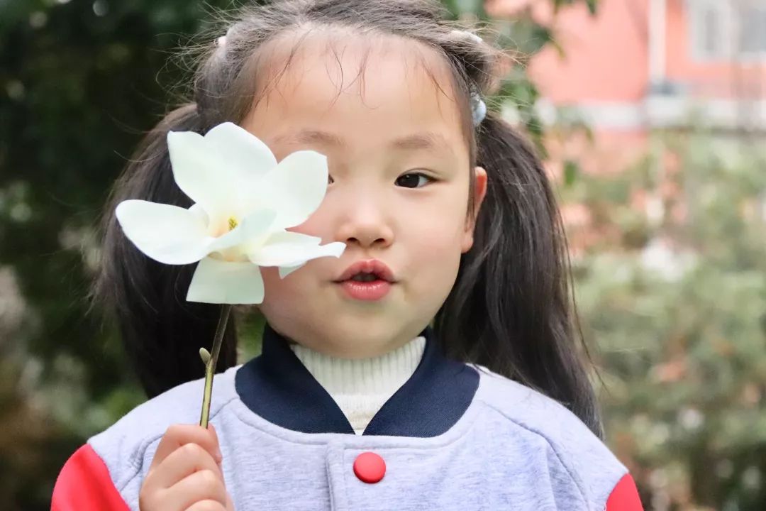 海量美图100张,海量高清美图