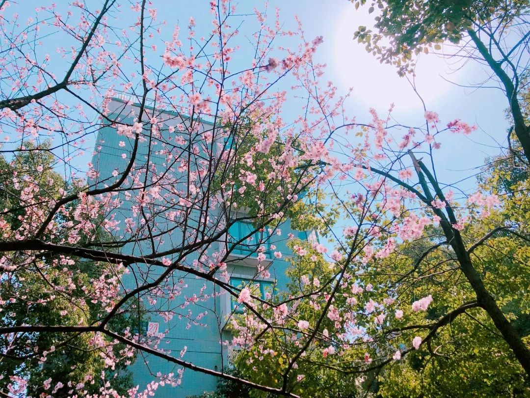 海量美图100张,海量高清美图