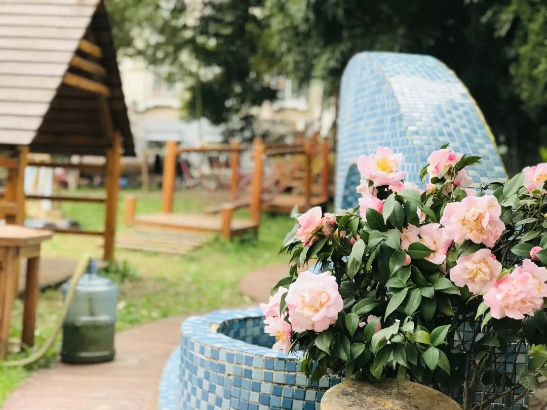 海量美图100张,海量高清美图