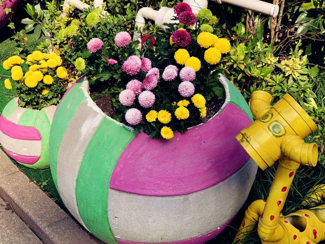 海量美图100张,海量高清美图