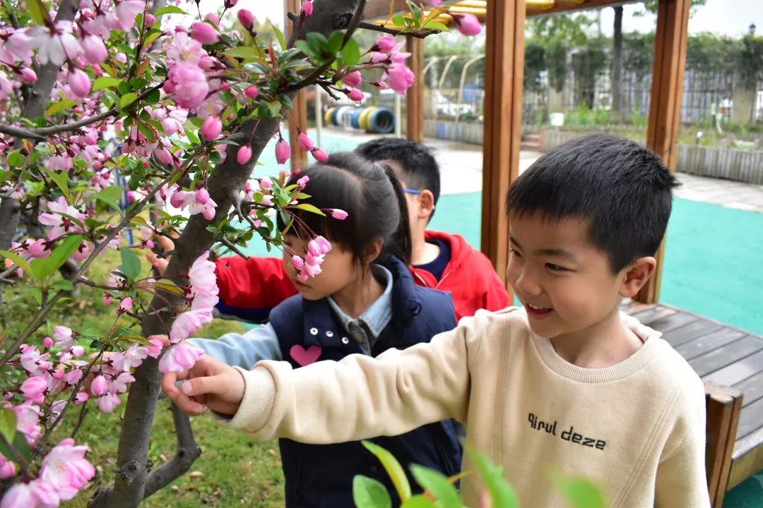 海量美图100张,海量高清美图