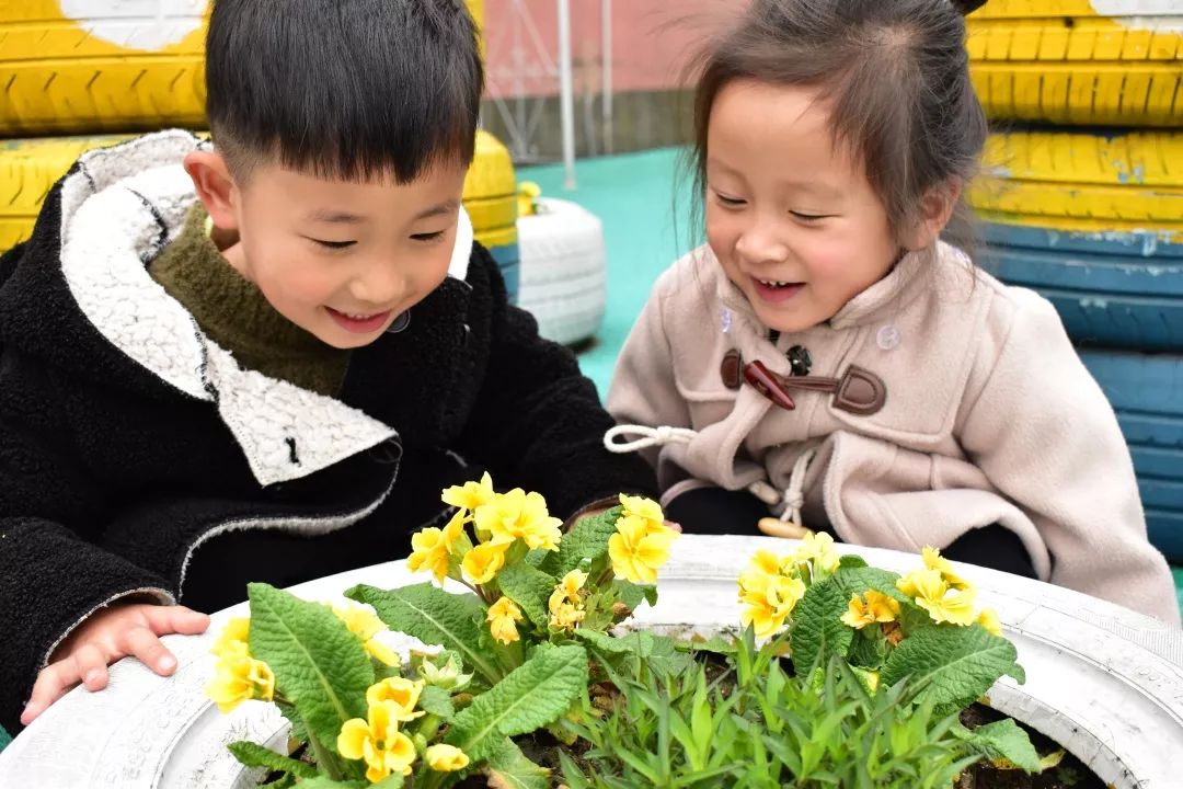 海量美图100张,海量高清美图