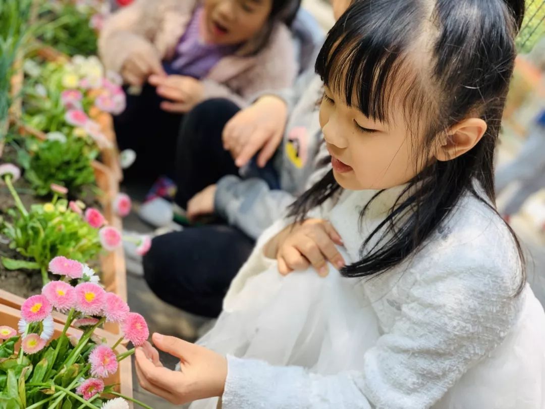 海量美图100张,海量高清美图