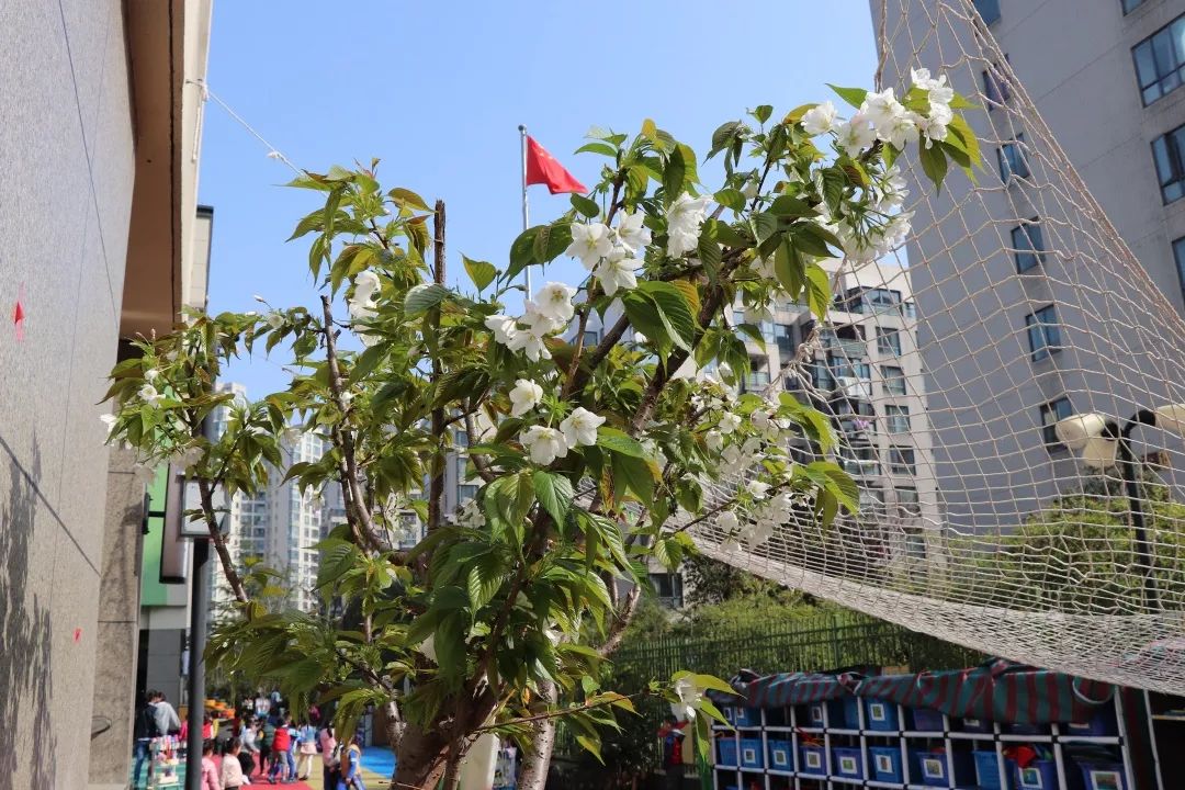 海量美图100张,海量高清美图