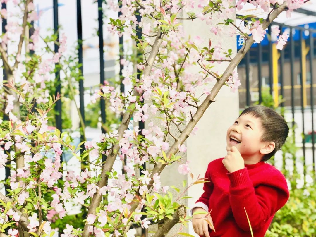 海量美图100张,海量高清美图