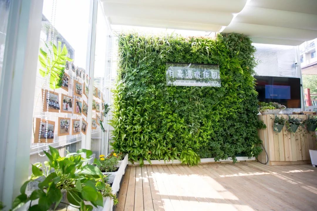 海量美图100张,海量高清美图