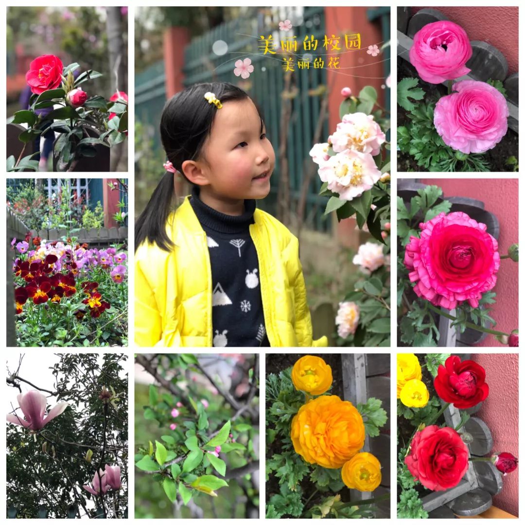 海量美图100张,海量高清美图