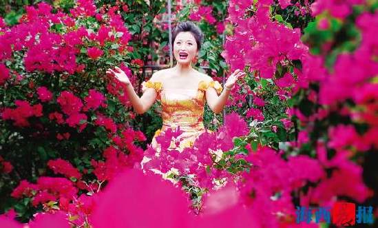 正宗同安红中国红三角梅,同安红三角梅家养