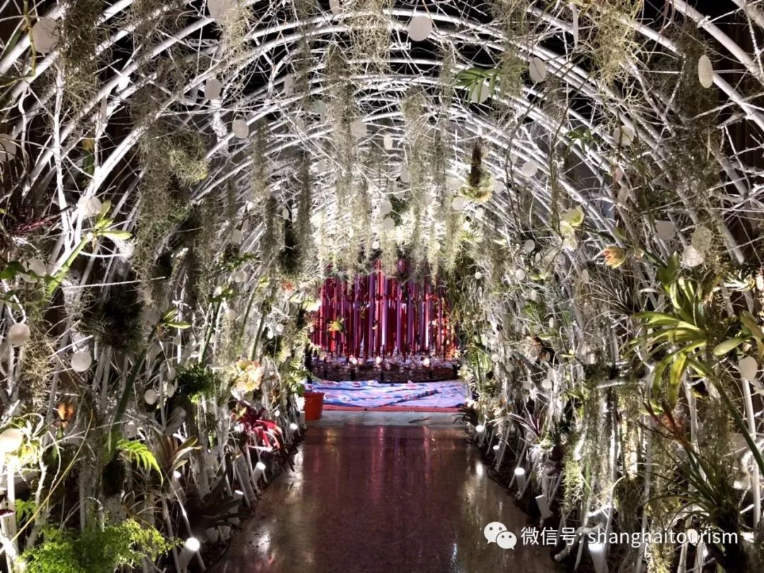 上海外滩五一景点,五一上海哪个景点最火爆