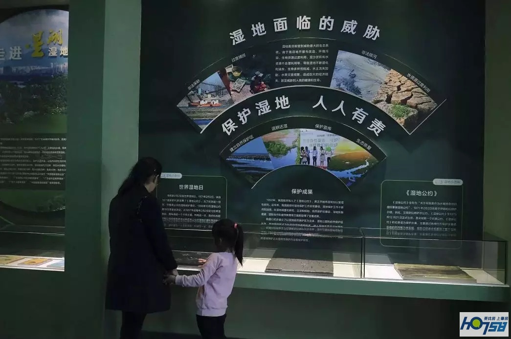 星湖国家湿地公园免费吗,广东星湖湿地风景