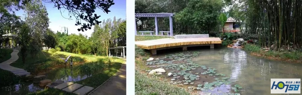 星湖国家湿地公园免费吗,广东星湖湿地风景