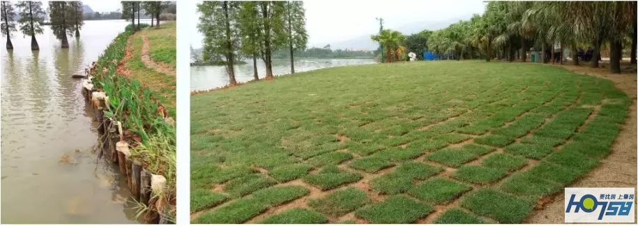 星湖国家湿地公园免费吗,广东星湖湿地风景