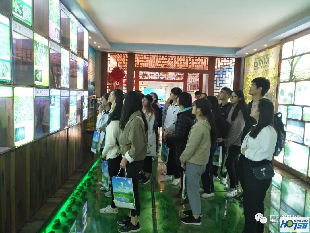 星湖国家湿地公园免费吗,广东星湖湿地风景