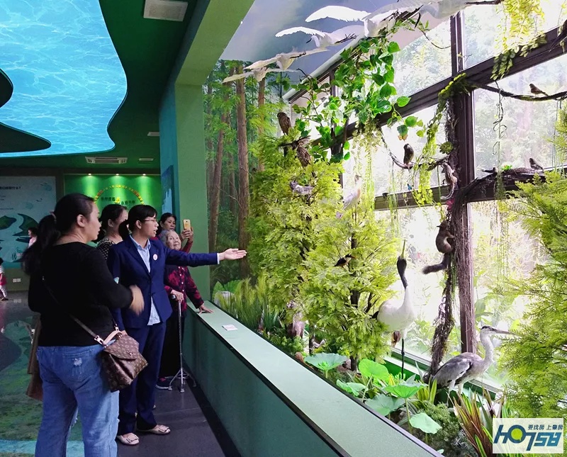 星湖国家湿地公园免费吗,广东星湖湿地风景