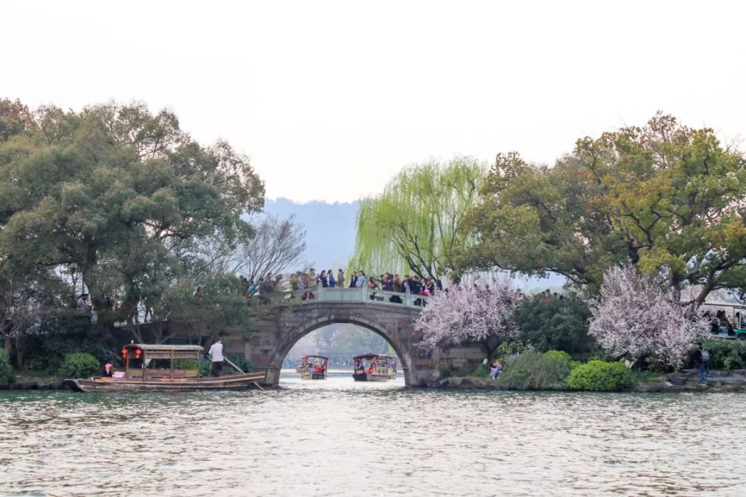 摇船前往酒店，睡在百花深处|杭州最仙儿的打开方式叫紫萱！