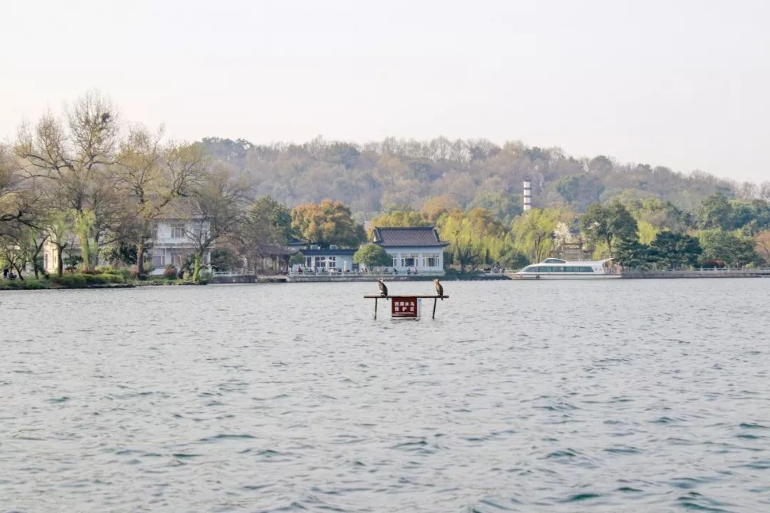 摇船前往酒店，睡在百花深处|杭州最仙儿的打开方式叫紫萱！
