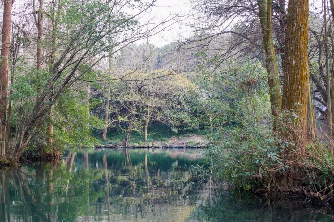 摇船前往酒店，睡在百花深处|杭州最仙儿的打开方式叫紫萱！