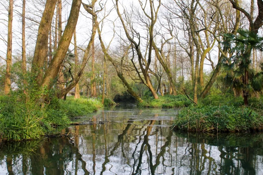 摇船前往酒店，睡在百花深处|杭州最仙儿的打开方式叫紫萱！