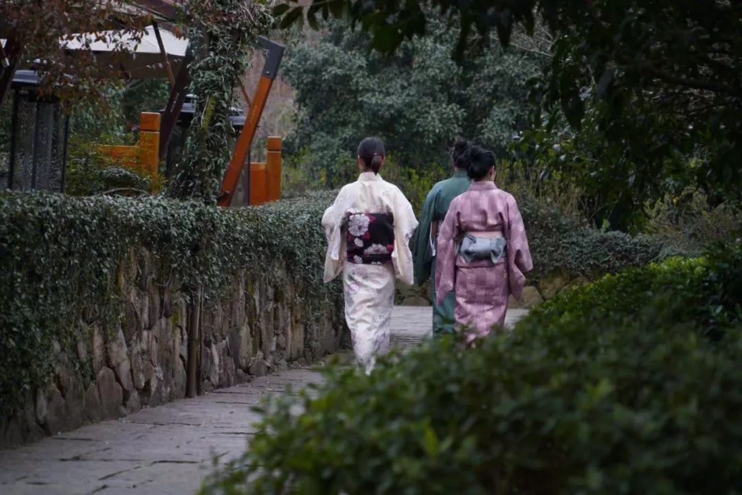 摇船前往酒店，睡在百花深处|杭州最仙儿的打开方式叫紫萱！